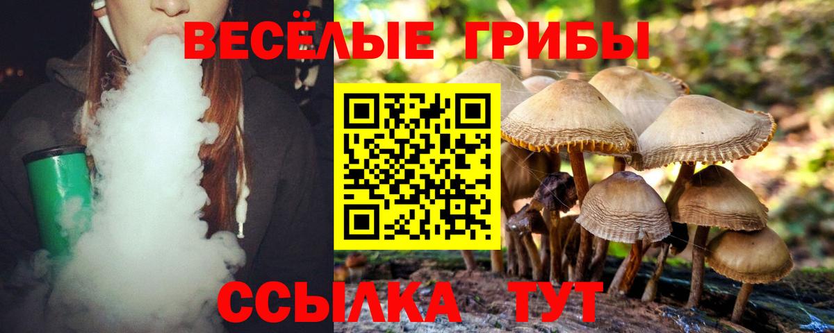 Псилоцибиновые грибы GOLDEN TEACHER  Вход с VPN  Псилоцибиновые грибы мухоморы  Ртищево 